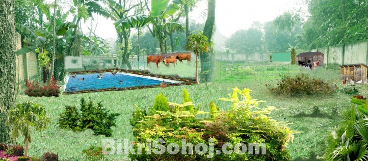 Golden Opportunity-Income Maximum by RENT @ DHAKA-BERULIA